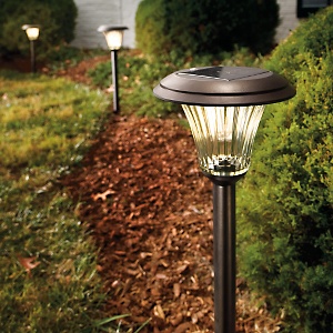 Solar powered lights are economical, easy to install, and save on your energy bills while nicely decorating your home and garden